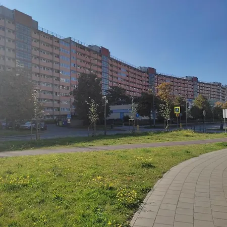 Wiola